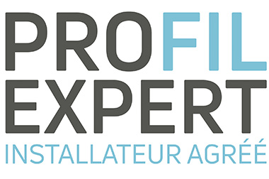 pictogramme Profil Expert